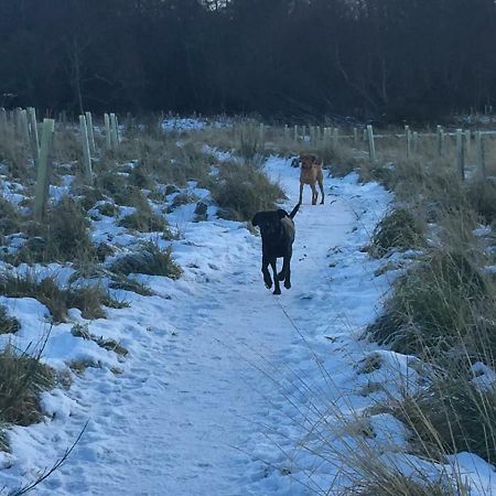Aviemore Highlands No82 ภายนอก รูปภาพ